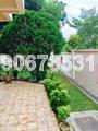Palm Grove Avenue (D19), Semi-Detached #156500492
